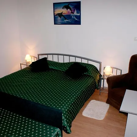 Guest house Pansion Ana 3*