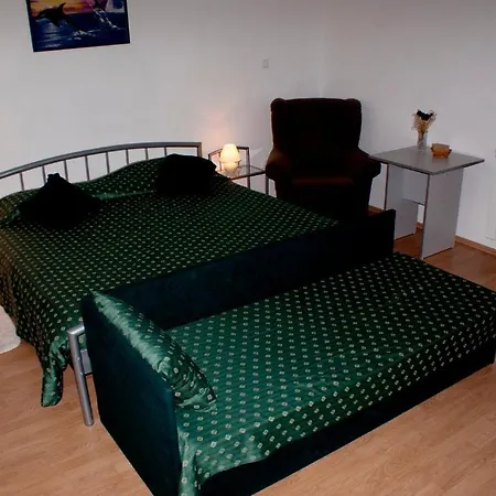 Guest house Pansion Ana 3*