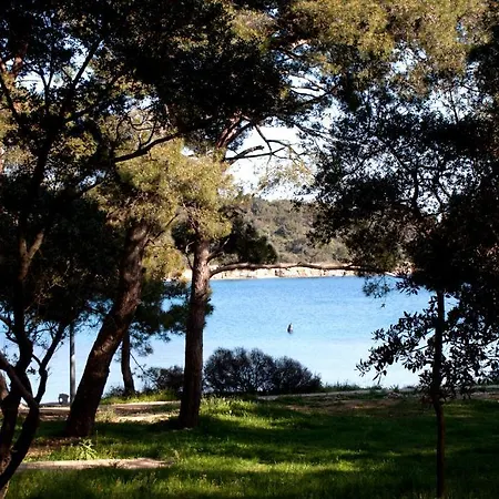Guest house Pansion Ana