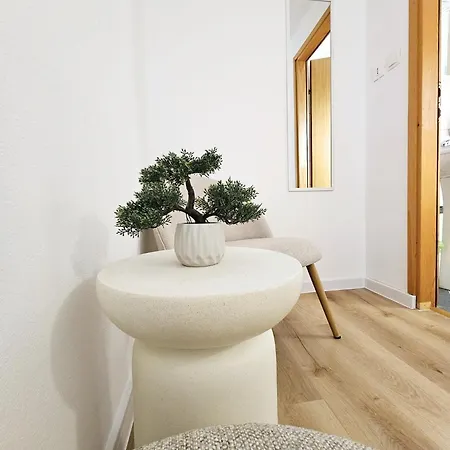 Отель Pansion Ana